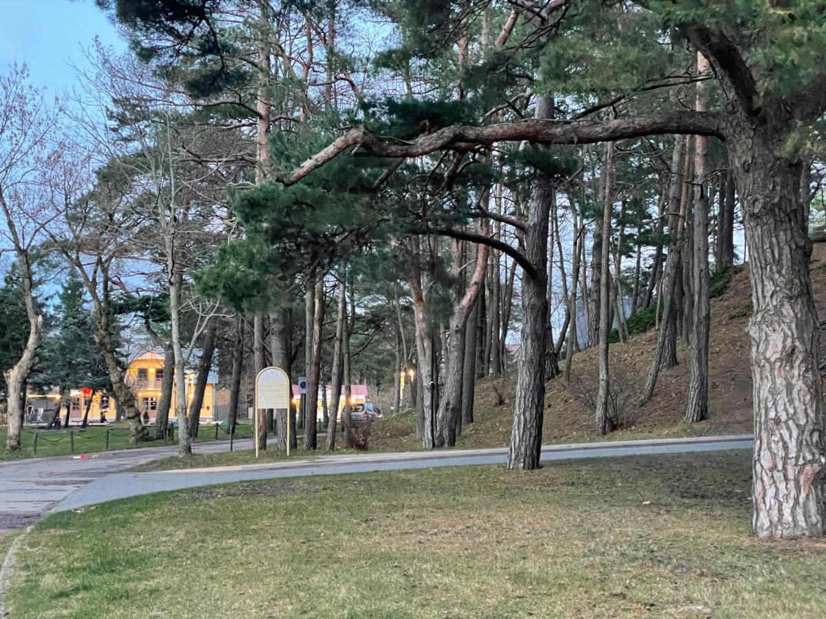 Daukanto Apartmentas Palanga Dış mekan fotoğraf