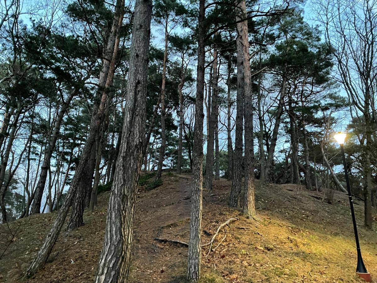 Daukanto Apartmentas Palanga Dış mekan fotoğraf