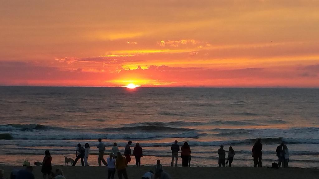 Daukanto Apartmentas Palanga Dış mekan fotoğraf